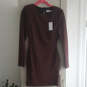 Astr Shimmering Fitted Long Sleeve Dress